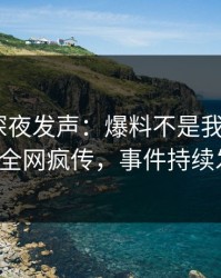 主持人深夜发声：爆料不是我干的！pixiv全网疯传，事件持续发酵