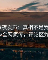 主持人深夜发声：真相不是我干的！pixiv全网疯传，评论区炸裂