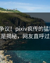 大V回应争议！pixiv疯传的猛料背后竟然是揭秘，网友直呼过瘾