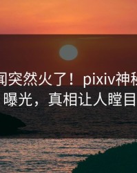 今日秘闻突然火了！pixiv神秘人居然曝光，真相让人瞠目