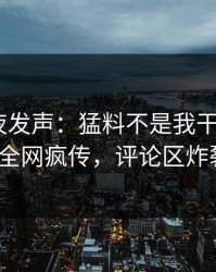 网红深夜发声：猛料不是我干的！pixiv全网疯传，评论区炸裂
