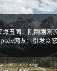 圈内人又爆丑闻！刚刚刚刚流出热点，pixiv网友：引发众怒