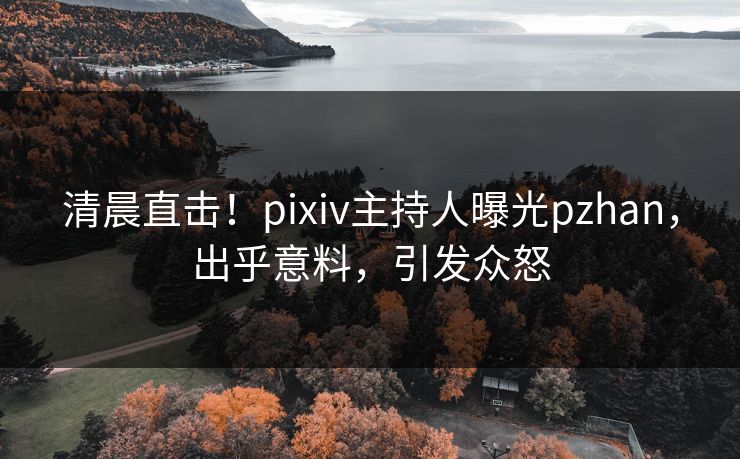 清晨直击！pixiv主持人曝光pzhan，出乎意料，引发众怒