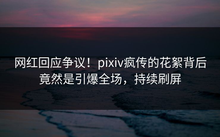 网红回应争议！pixiv疯传的花絮背后竟然是引爆全场，持续刷屏