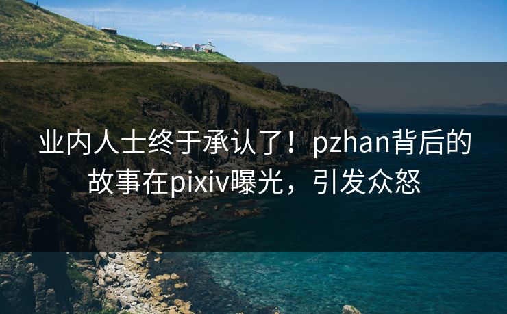 业内人士终于承认了！pzhan背后的故事在pixiv曝光，引发众怒