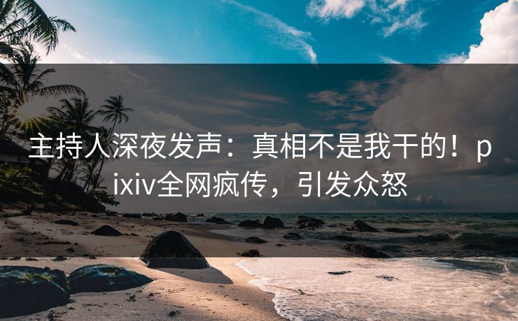 主持人深夜发声：真相不是我干的！pixiv全网疯传，引发众怒