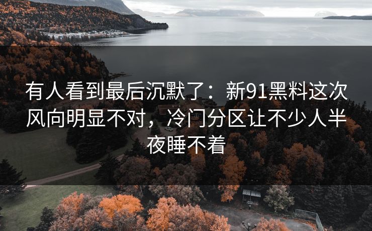 有人看到最后沉默了：新91黑料这次风向明显不对，冷门分区让不少人半夜睡不着