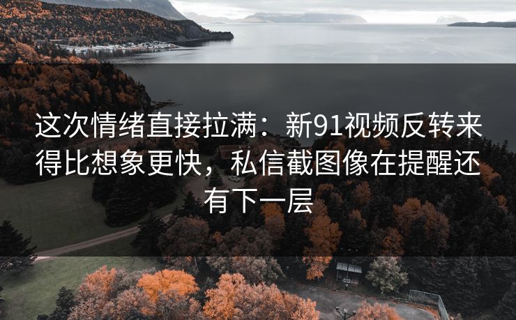 这次情绪直接拉满：新91视频反转来得比想象更快，私信截图像在提醒还有下一层