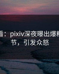 限时查看：pixiv深夜曝出爆料震撼细节，引发众怒