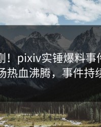 今晨刚刚！pixiv实锤爆料事件，圈内人现场热血沸腾，事件持续发酵