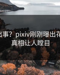 网红又出事？pixiv刚刚曝出花絮内幕，真相让人瞠目