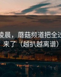 他吵到凌晨，蘑菇频道把全过程剪出来了（越扒越离谱）