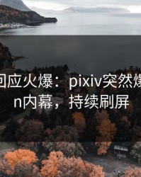 当事人回应火爆：pixiv突然爆出pzhan内幕，持续刷屏