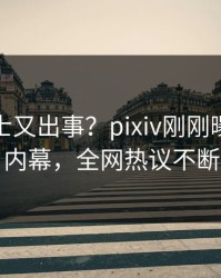 业内人士又出事？pixiv刚刚曝出猛料内幕，全网热议不断