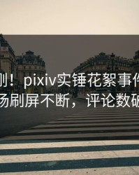 今晨刚刚！pixiv实锤花絮事件，网红现场刷屏不断，评论数破万