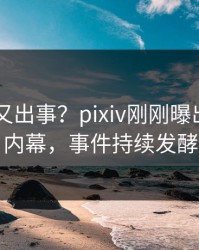 当事人又出事？pixiv刚刚曝出pzhan内幕，事件持续发酵
