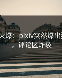 大V回应火爆：pixiv突然爆出猛料内幕，评论区炸裂