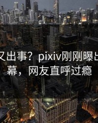 神秘人又出事？pixiv刚刚曝出真相内幕，网友直呼过瘾