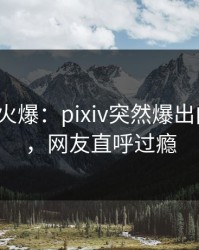 大V回应火爆：pixiv突然爆出内幕内幕，网友直呼过瘾