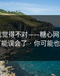我当时就觉得不对——糖心网页版入口，你可能误会了 · 你可能也遇到过