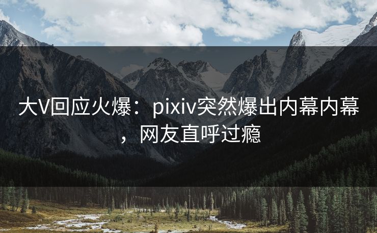 大V回应火爆:pixiv突然爆出内幕内幕,网友直呼过瘾 大V回应火爆:pixiv突然爆出内幕内幕,网友直呼过瘾