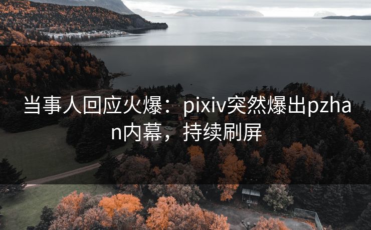 当事人回应火爆：pixiv突然爆出pzhan内幕，持续刷屏