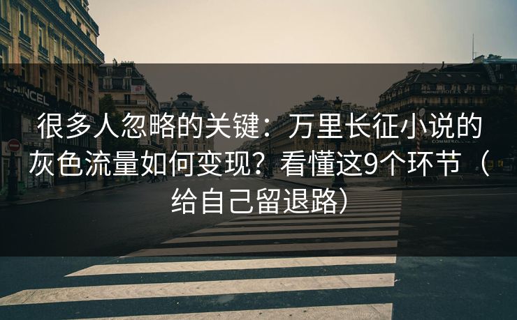 很多人忽略的关键：万里长征小说的灰色流量如何变现？看懂这9个环节（给自己留退路）